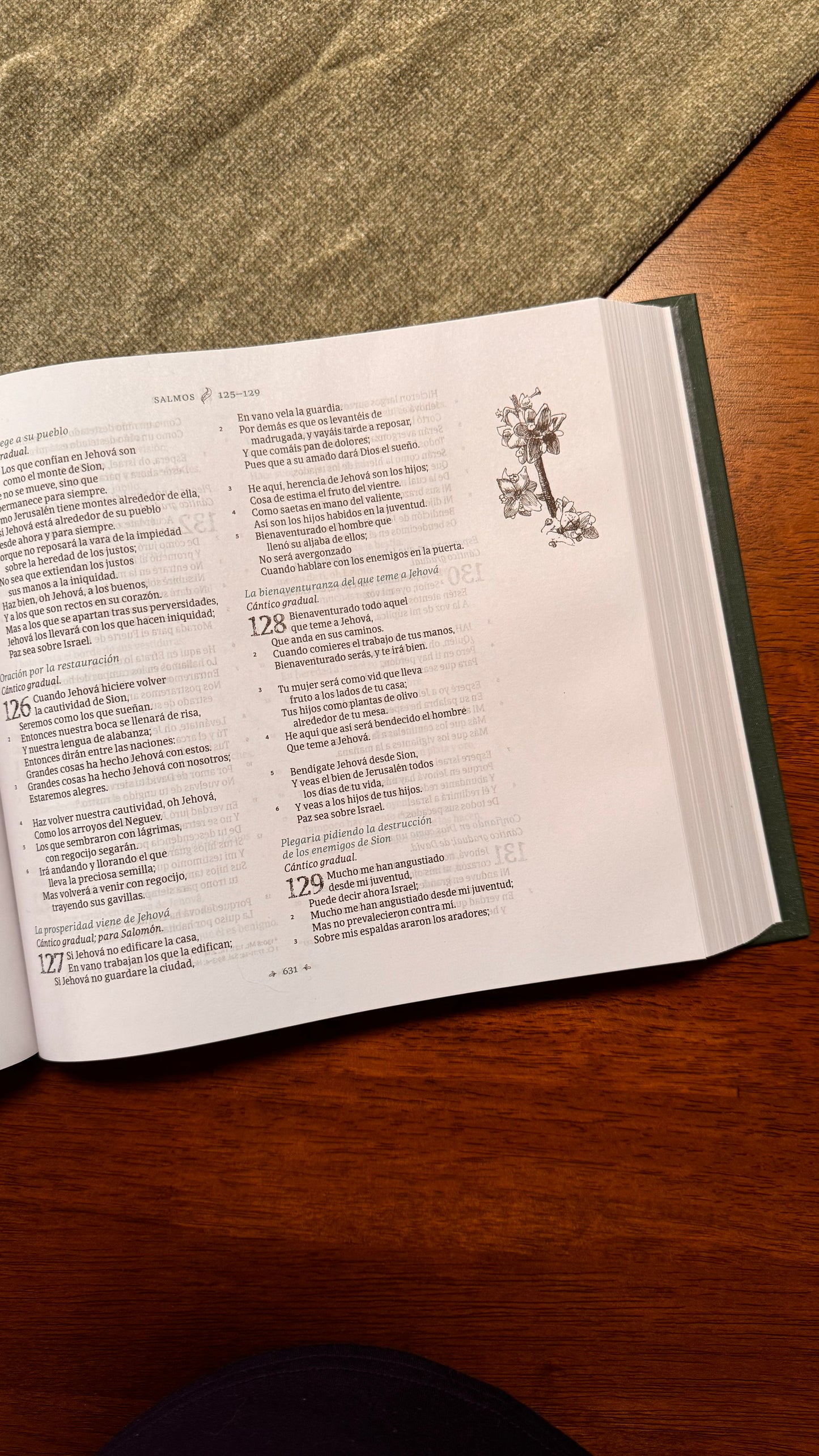Biblia Ilustrada de La Creación