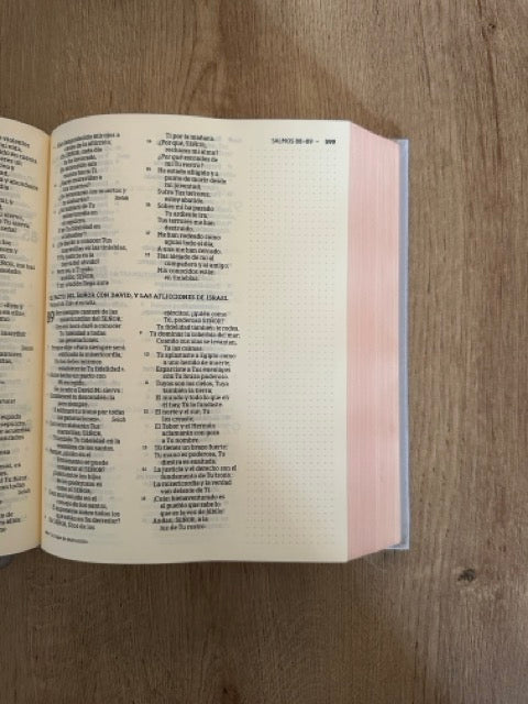 Biblia Artística