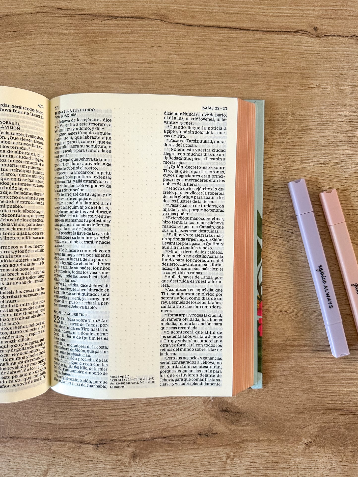 Biblia Artística Reina Valera