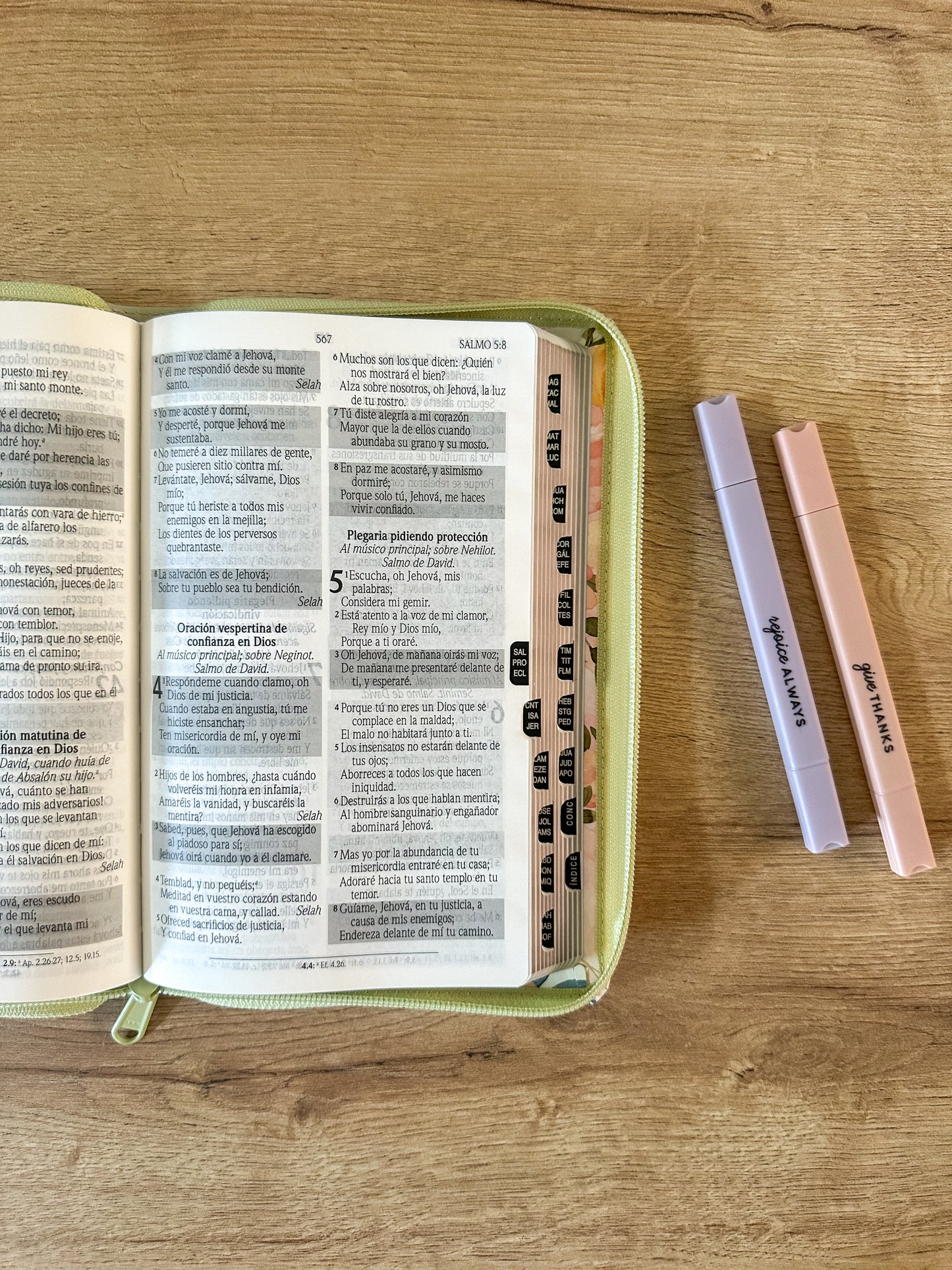 Biblia de Promesas