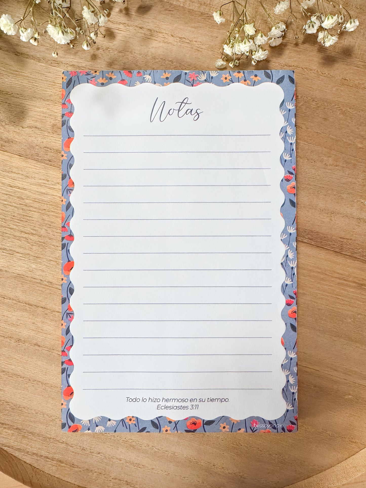 Block de Notas Eclesiastés 3:11