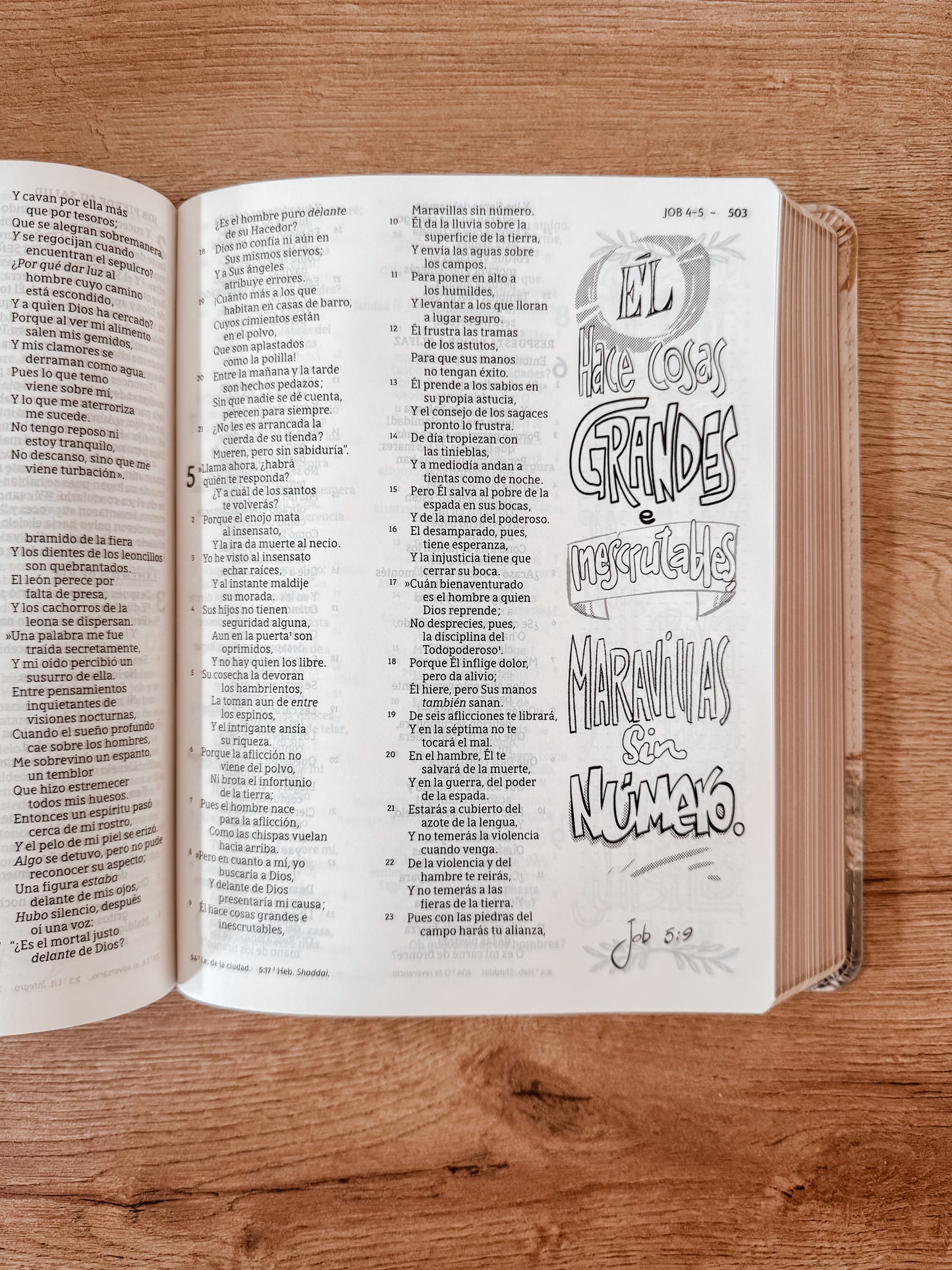 Biblia Artística Ilustrada