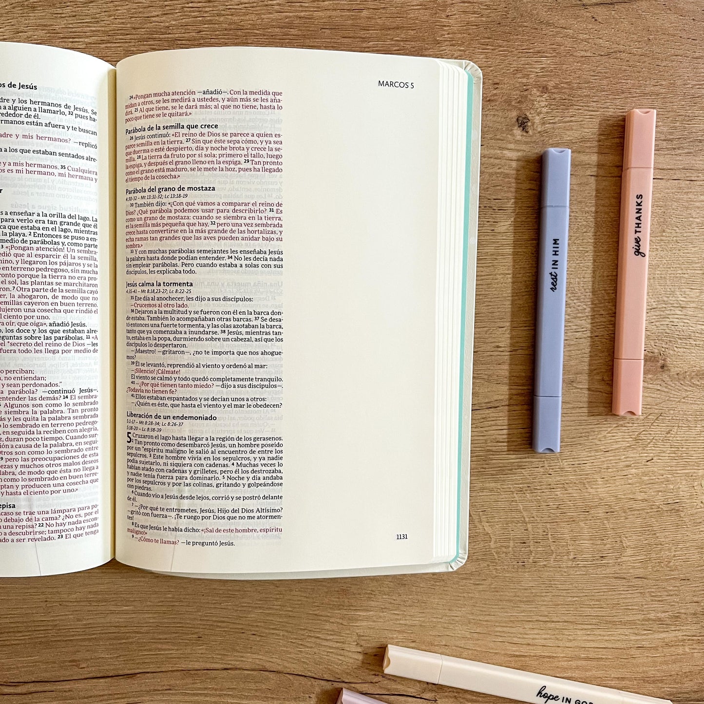 Biblia Ilustra tu Fe beige