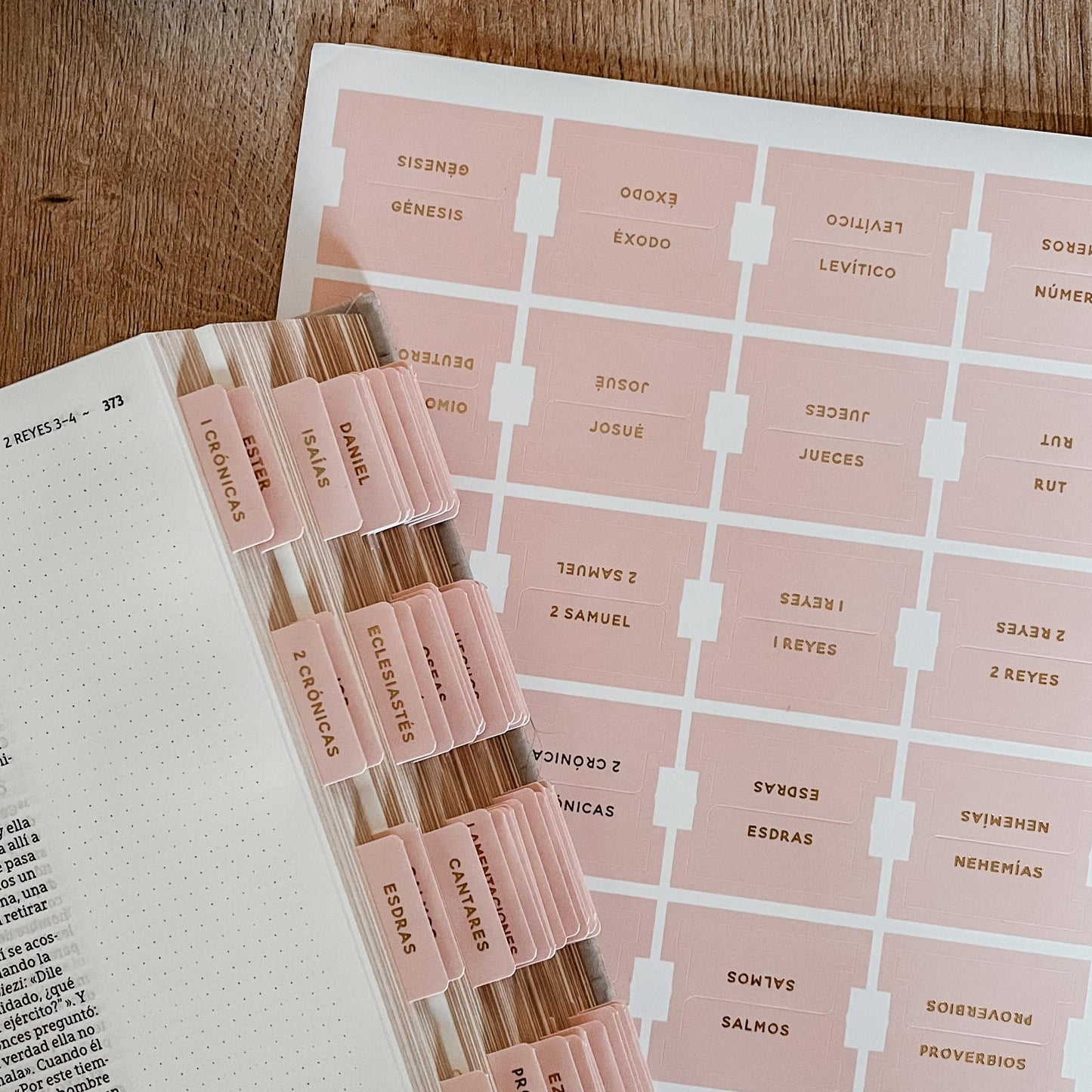 Bible tabs