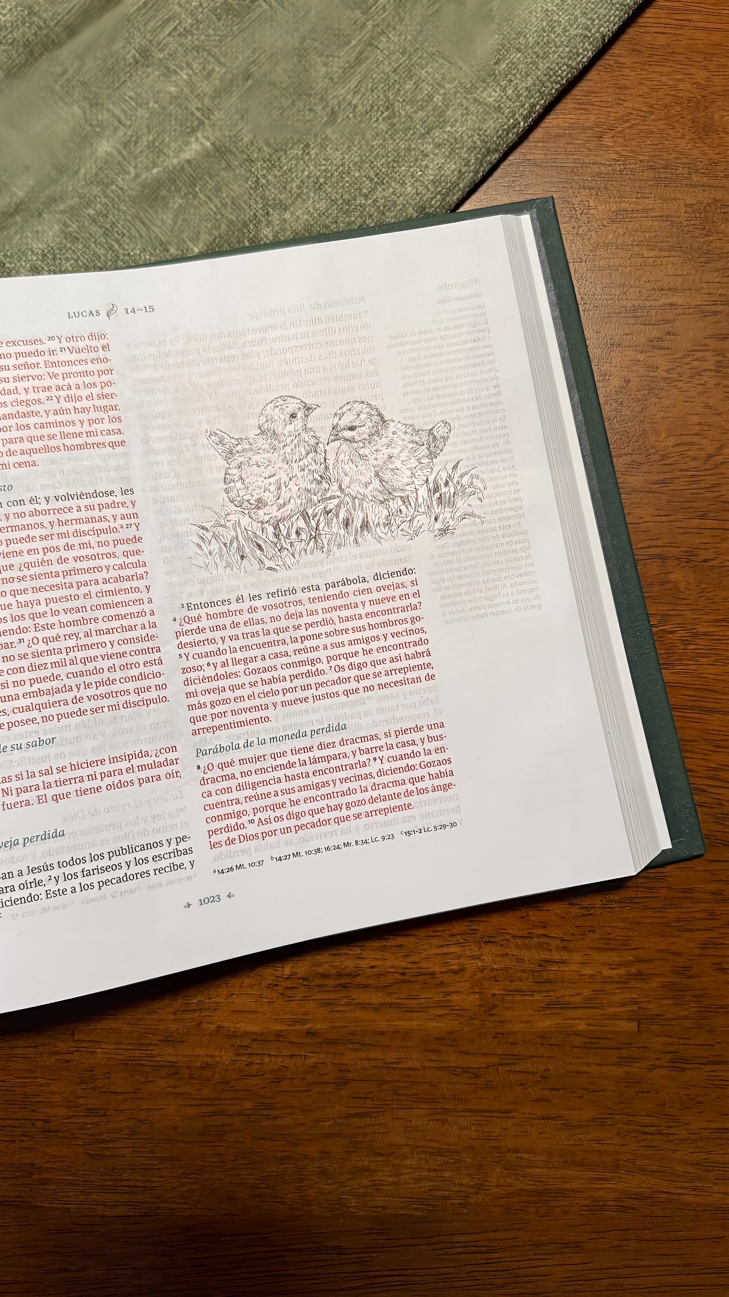 Biblia Ilustrada de La Creación