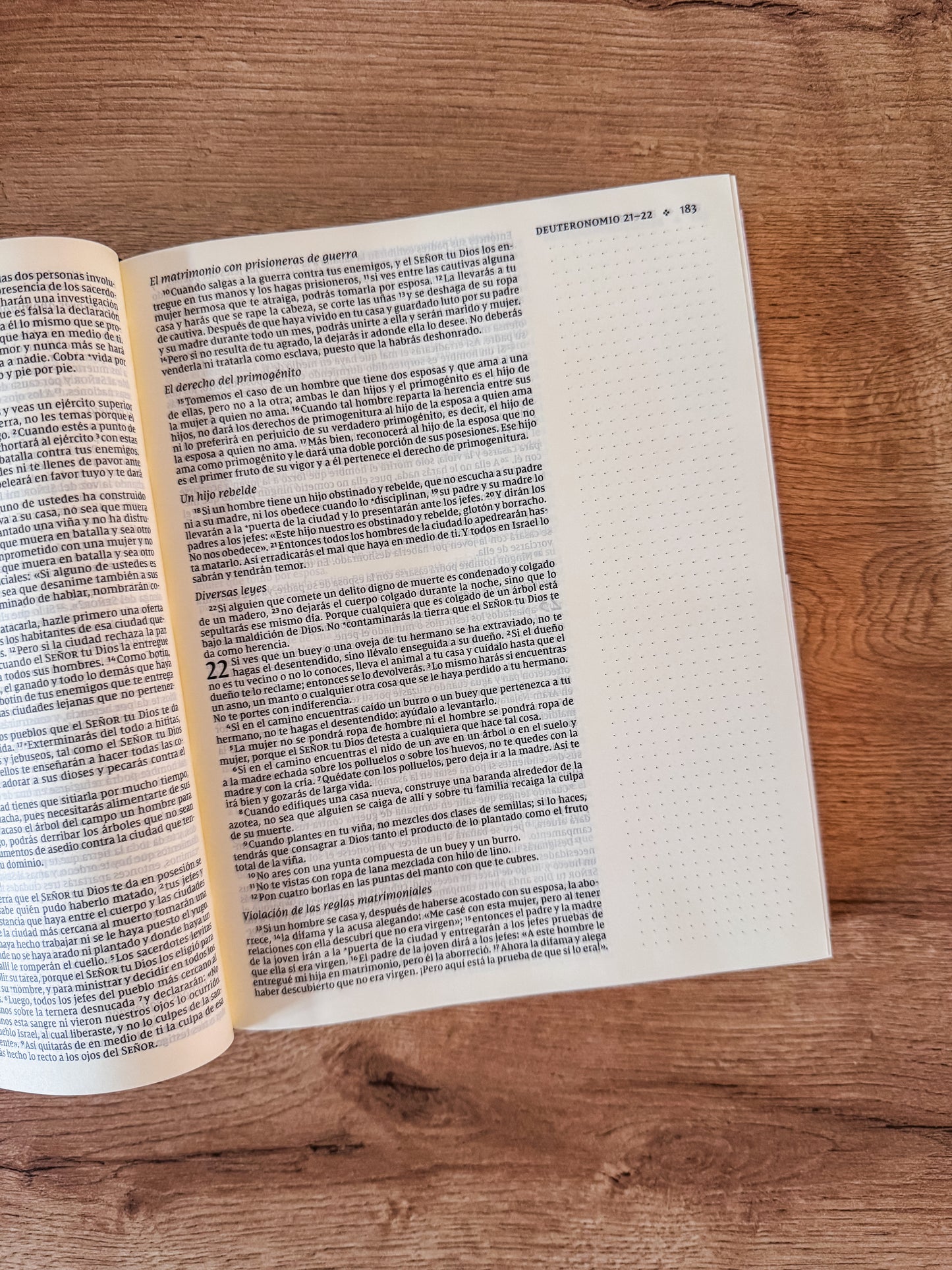 Biblia Artistica NVI