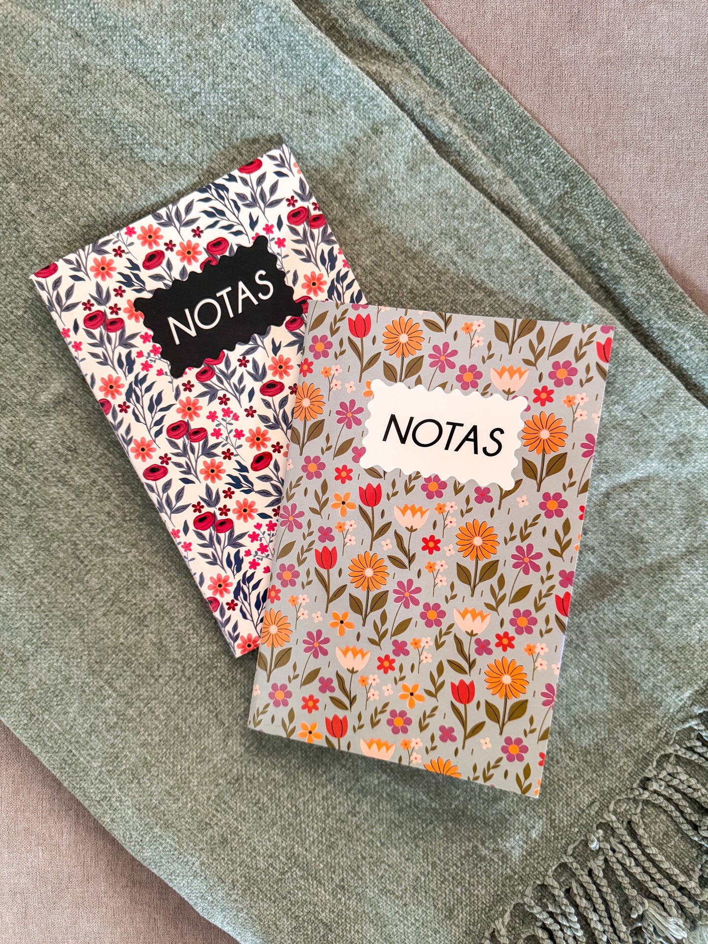 Set de cuadernos de notas
