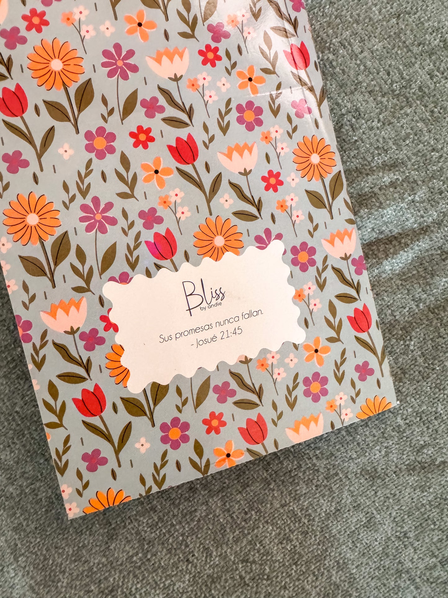 Set de cuadernos de notas