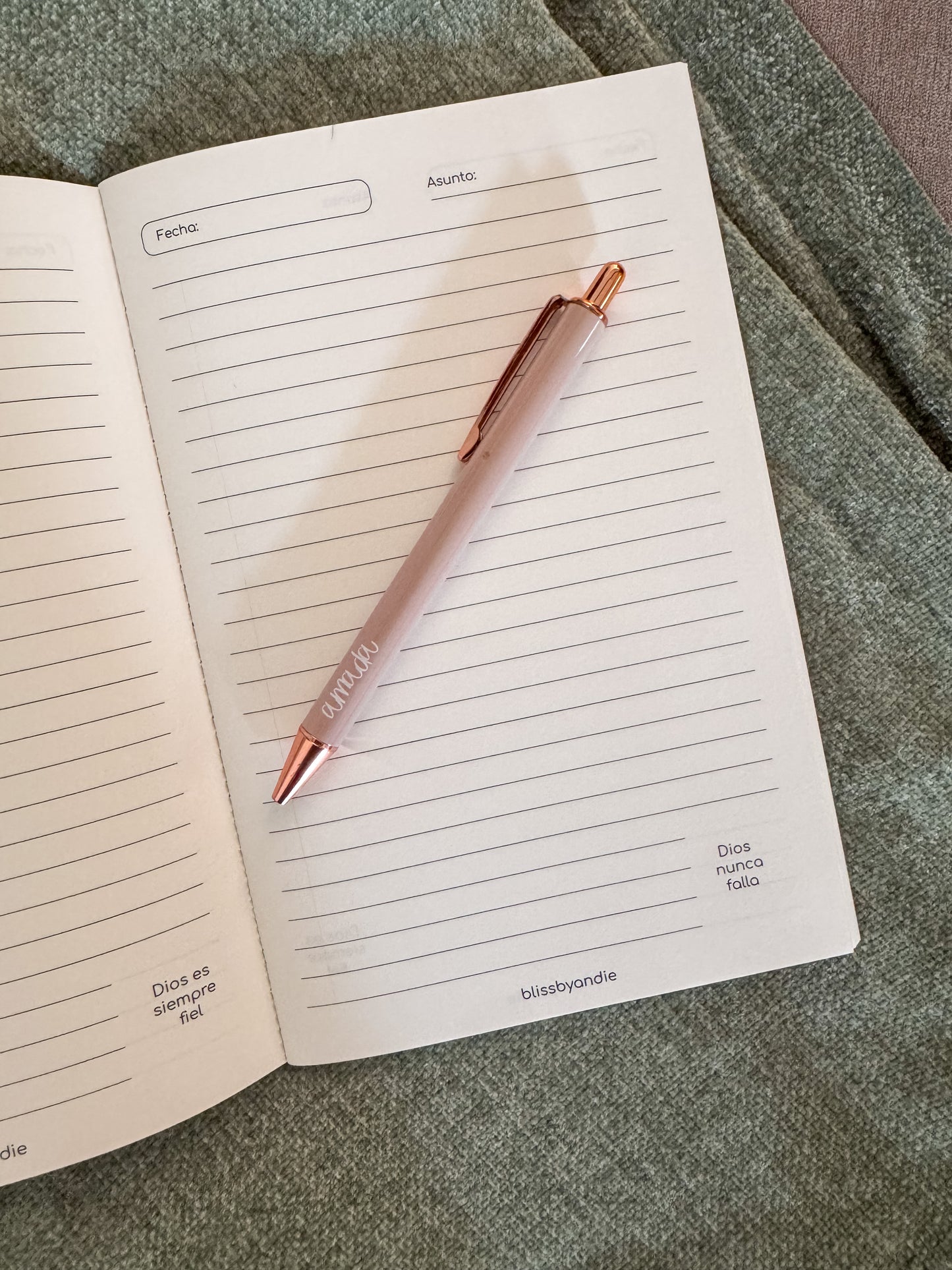 Set de cuadernos de notas